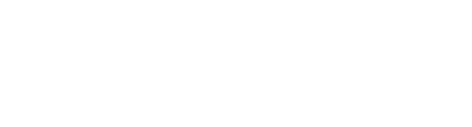 Vecturo